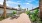 path with palm trees